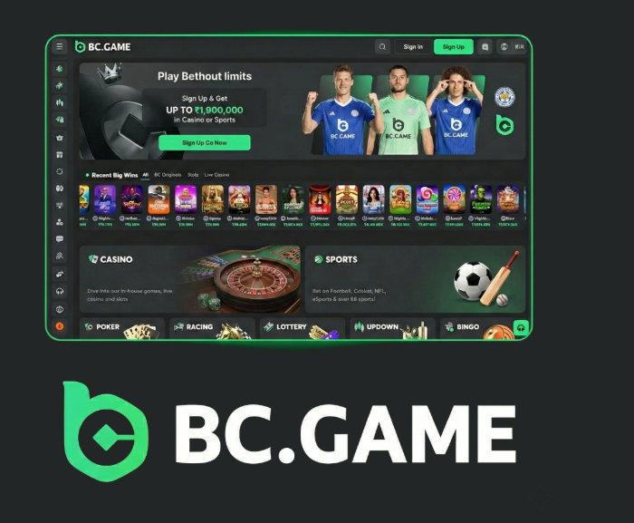 Exploring the BC.Game Platform A New Era of Online Gaming in Nigeria Exploring the BC.Game Platform A New Era of Online Gaming in Nigeria